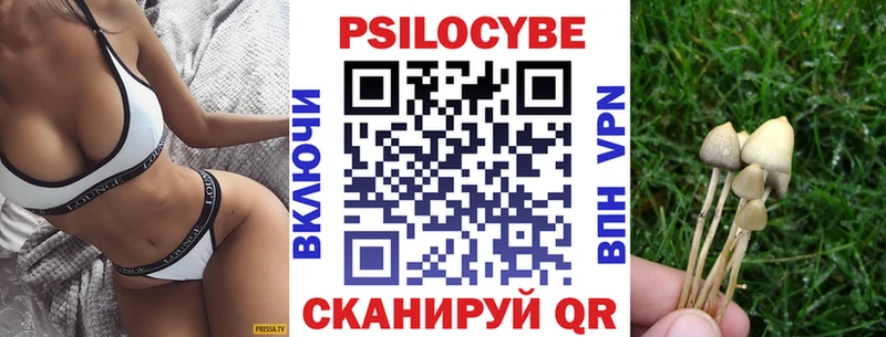 Псилоцибиновые грибы мицелий  Никольское 