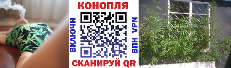 Каннабис LSD WEED площадка Telegram Никольское сколько стоит мега маркетплейс